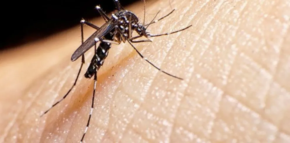 Siguen los problemas con el dengue.