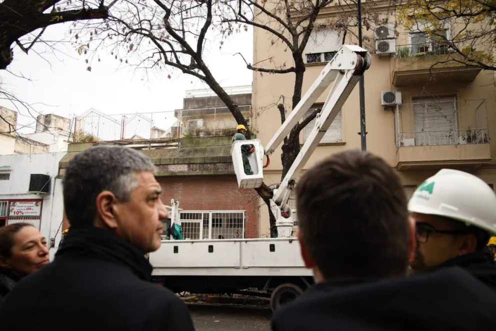 Trabajo de poda en la Ciudad.
